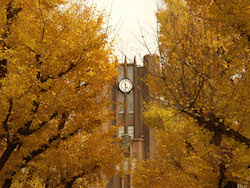 紅葉の東京大学～上野を歩こう